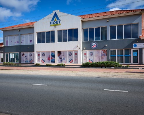 Hoet Building  at EAGLE BEACH Punta Brabo : The Perfect Investment opportunity.