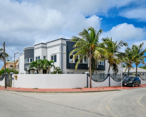 Bubali Noord Aruba